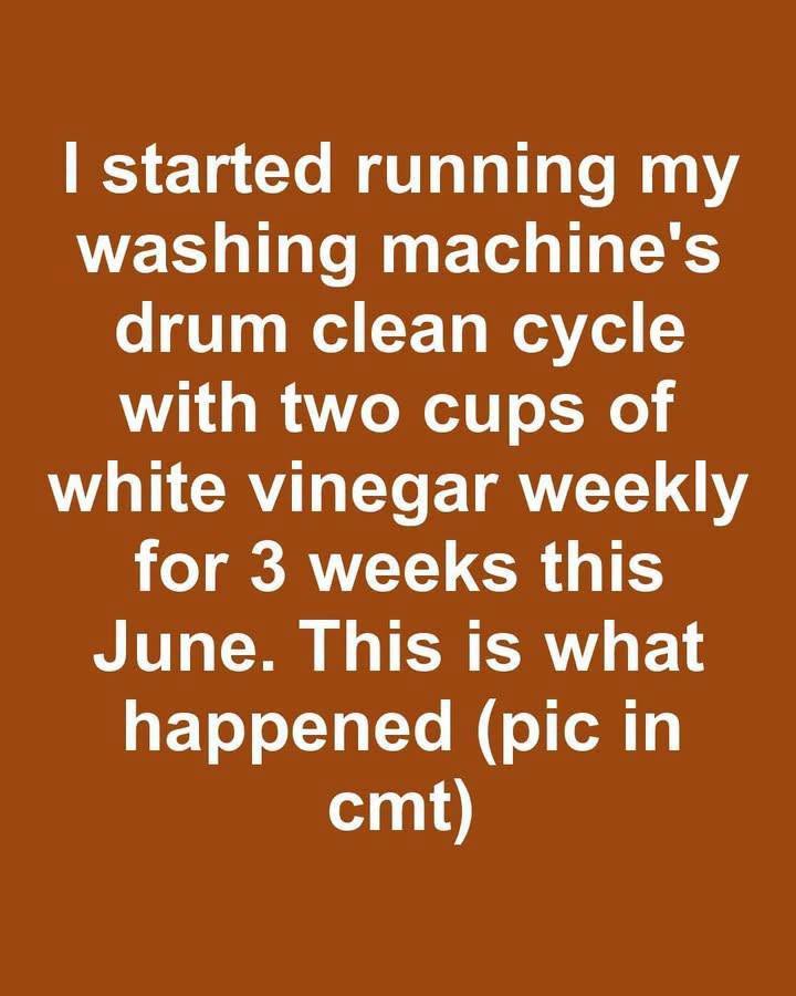 I Ran My Washer's Drum Clean Cycle With Two Cups of Vinegar Weekly for Three Weeks - Here's What Happened