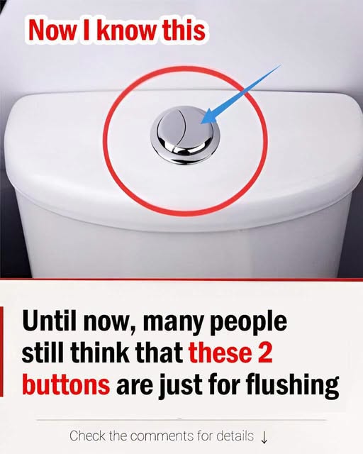The Reason Your Toilet Has Two Buttons, and Why You've Probably Been Using the Wrong One