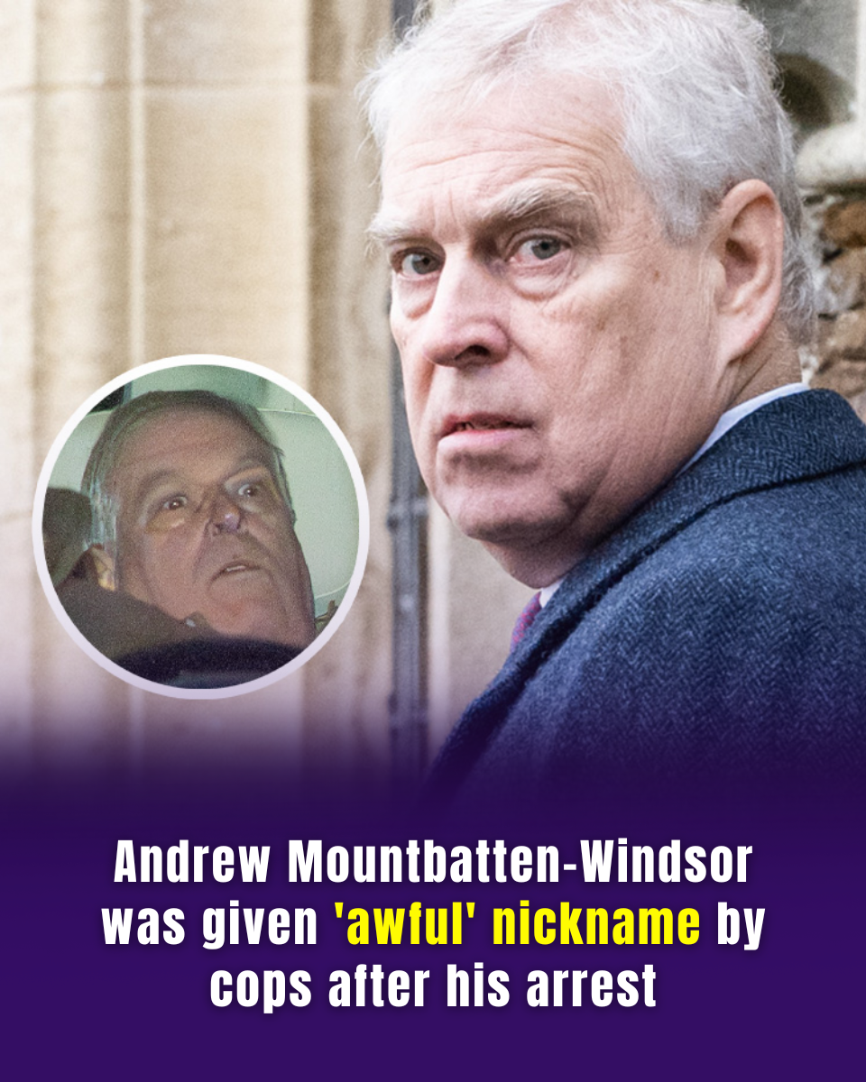 Arrested on His 66th Birthday: Police Reveal What They're Investigating in the Andrew Case