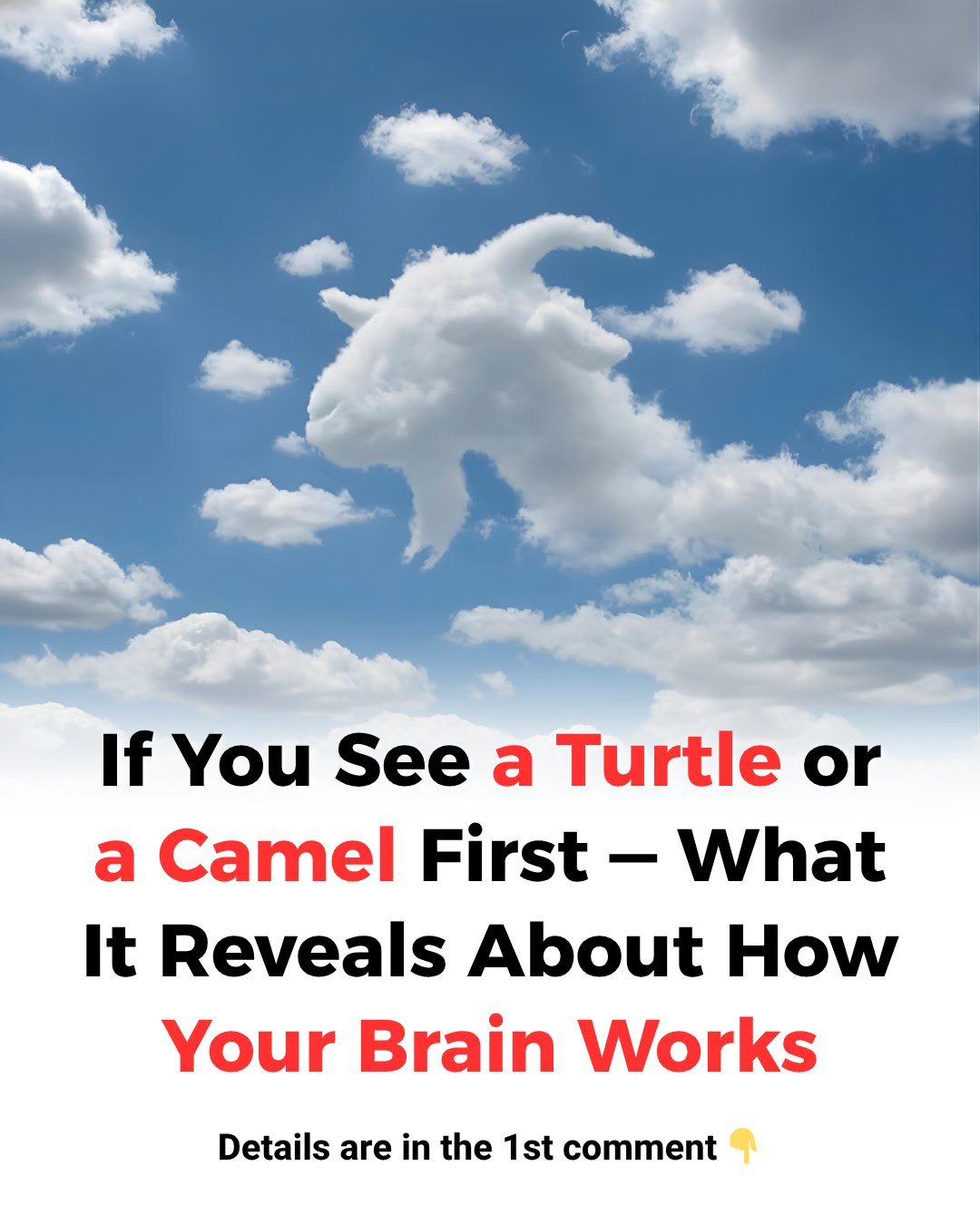 Turtle or Camel? What Your First Sight in the Clouds Says About Your Thinking Style