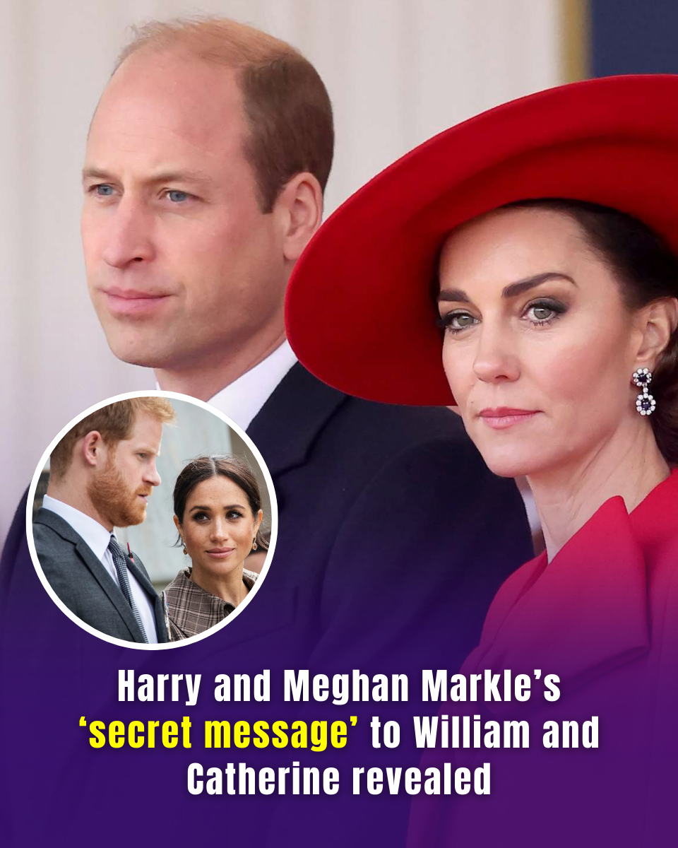 Harry and Meghan's Jordan Trip Was More Than Charity Work - Royal Expert Says It Carried a Message for William and Kate
