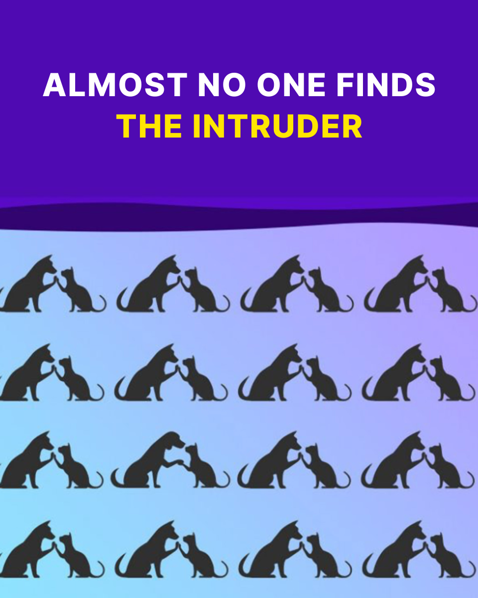 Spot the Odd One Out: The Tiny Brain Workout That Outperforms Brain Apps