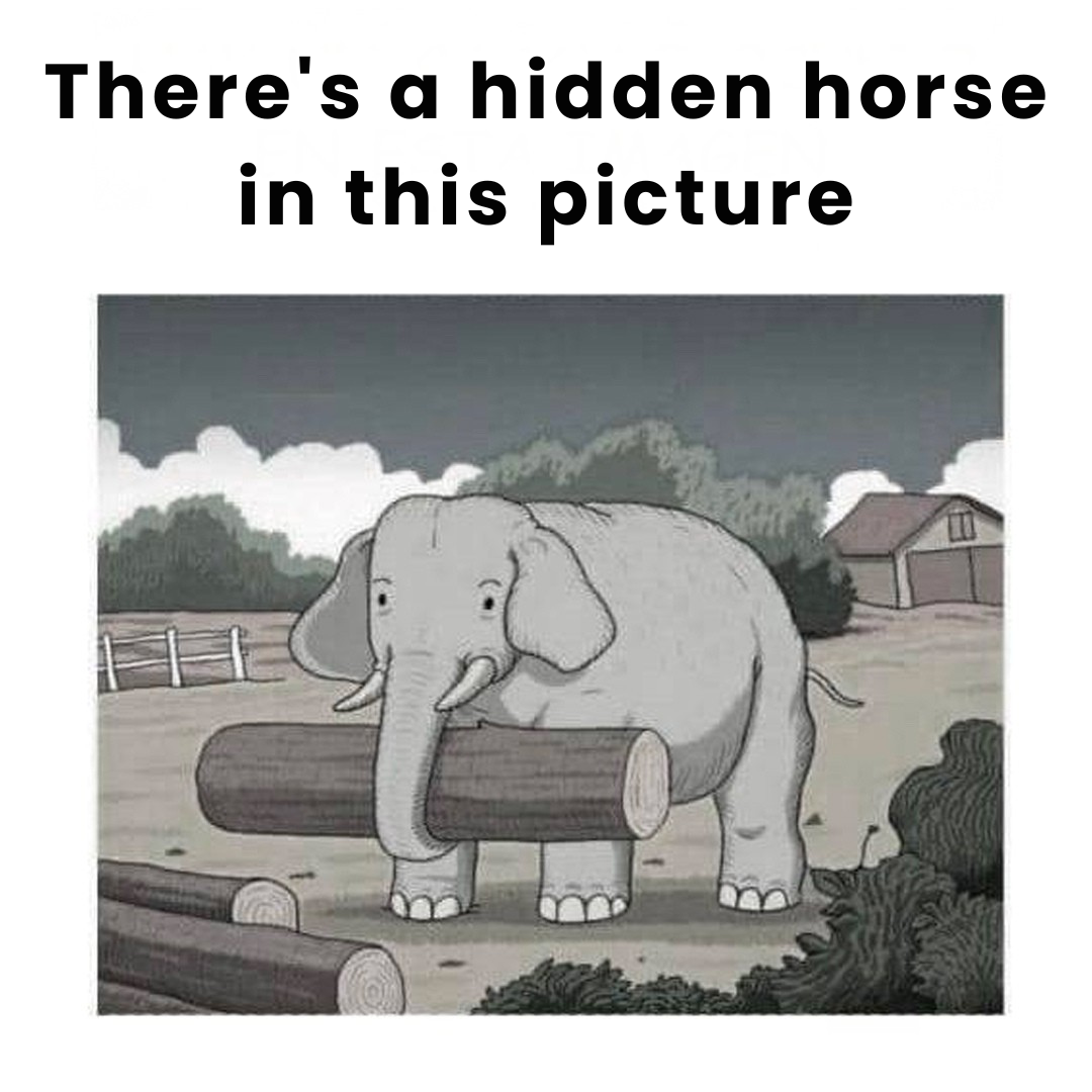 A Horse Hides Inside This Scene — and Most People Need the Answer Key
