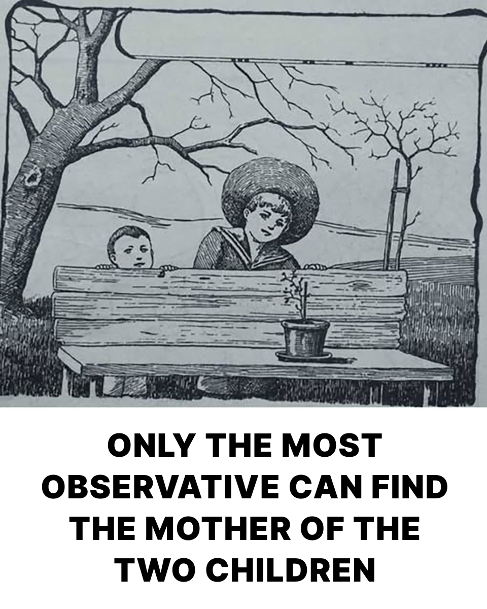Find the Hidden Mother in This Winter Scene — Most People Fail in 5 Seconds