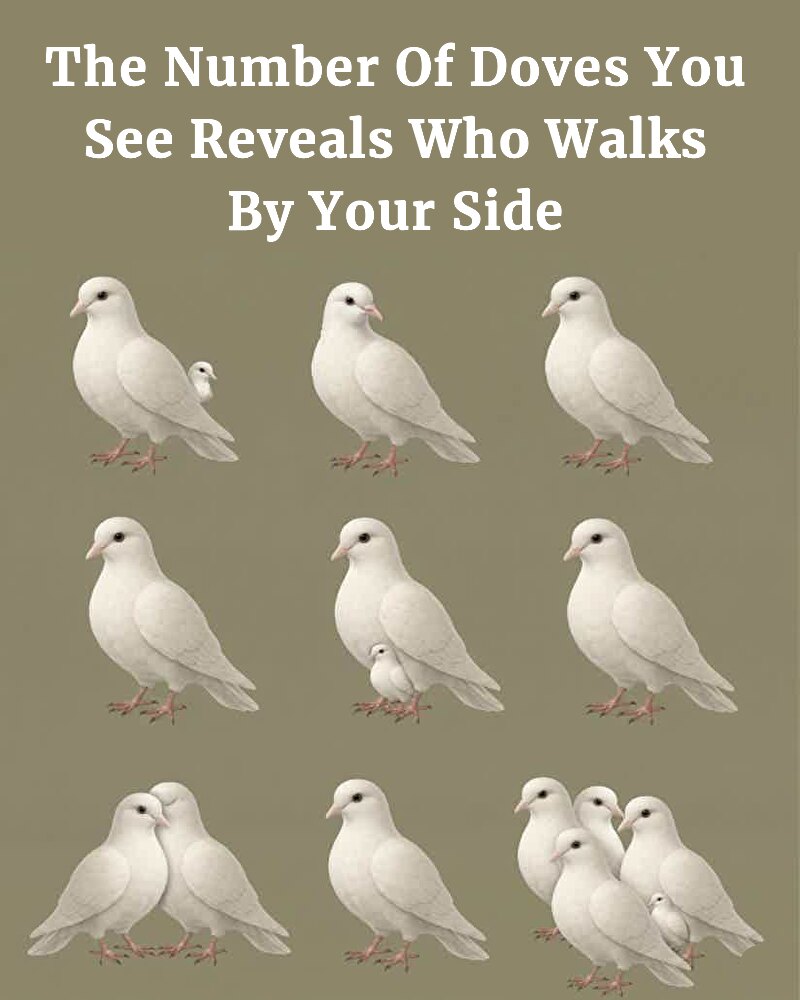 How Many Doves Do You See First? What Your Answer Says About Who Walks Beside You