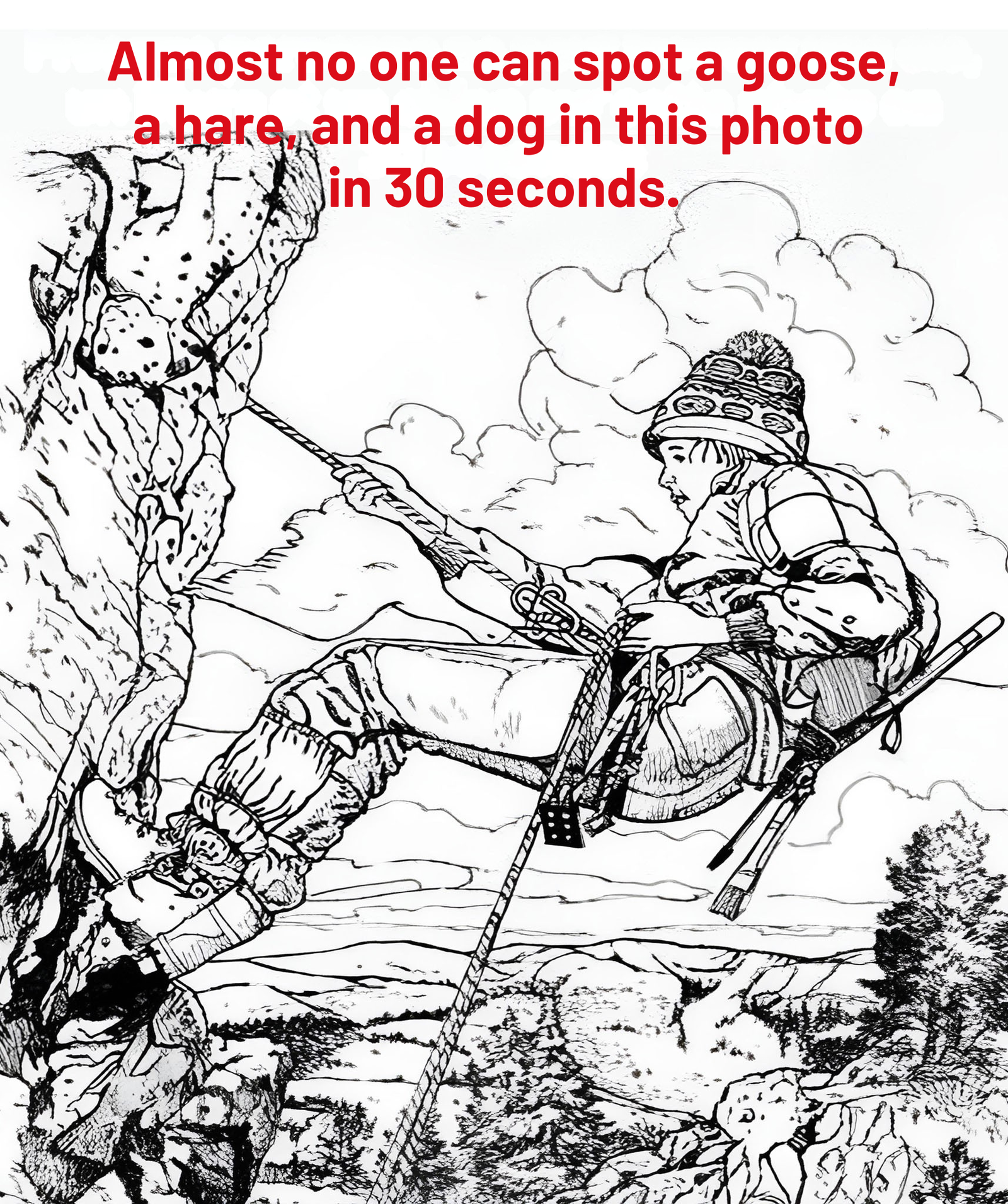 Goose, Hare, Dog: The Landscape Puzzle Hiding Three Animals in One Photograph