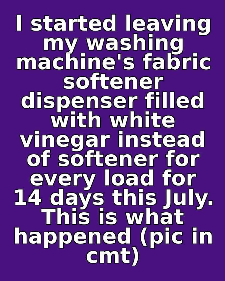 I Swapped Fabric Softener for White Vinegar for 14 Days Straight - The Results Surprised My Whole Family