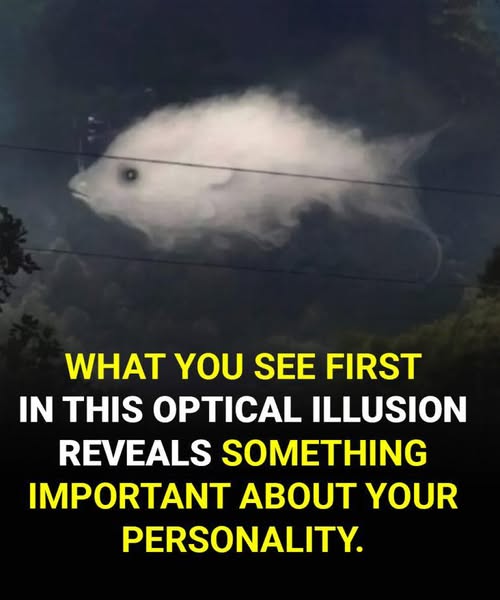 Cloud or Fish? What You Spot First in This Viral Illusion Says More About You Than You Think