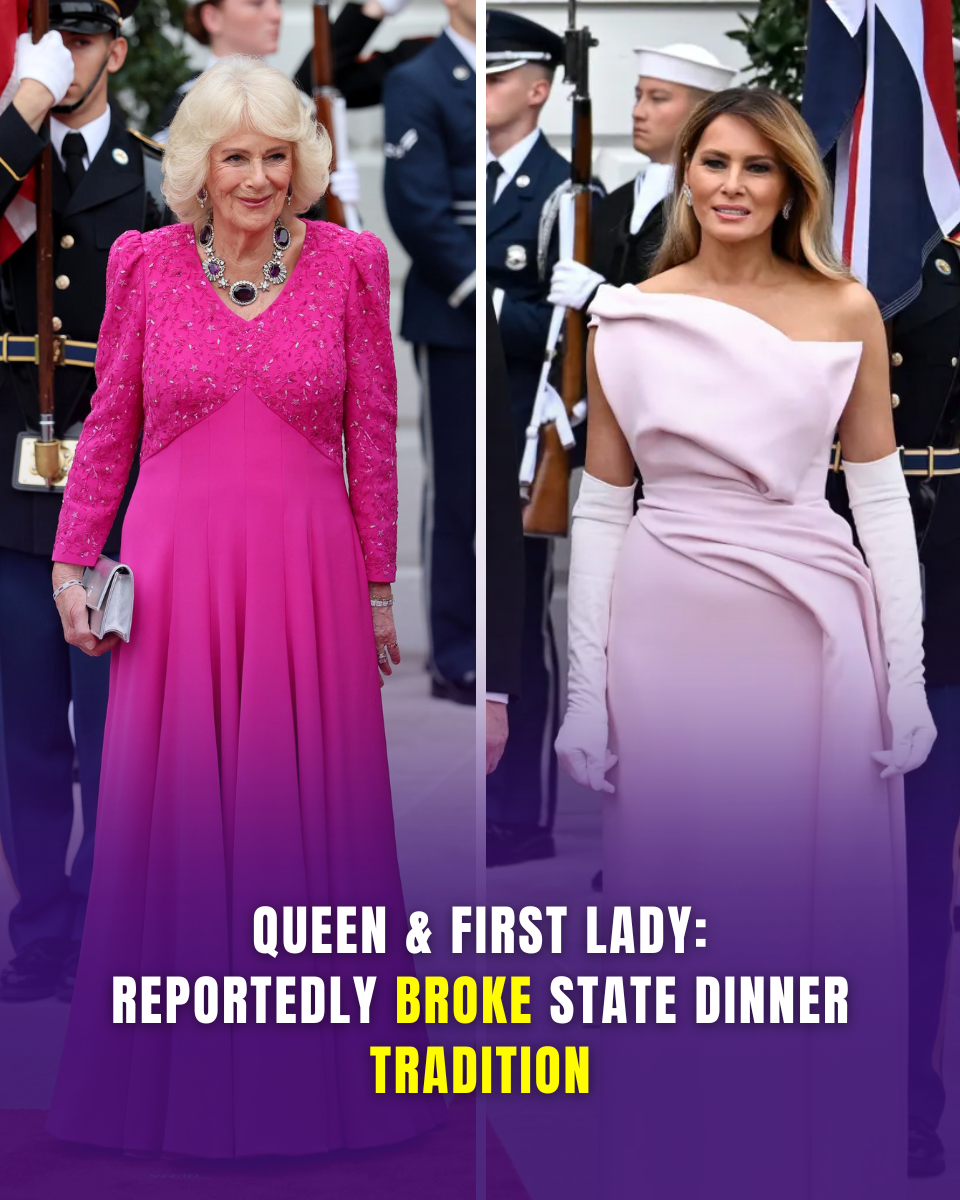 Melania's Pale Pink State Dinner Gown Has Everyone Arguing About Its Hidden Meaning